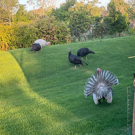 Bird Song Farm Hotel Hat Head Ngoại thất bức ảnh