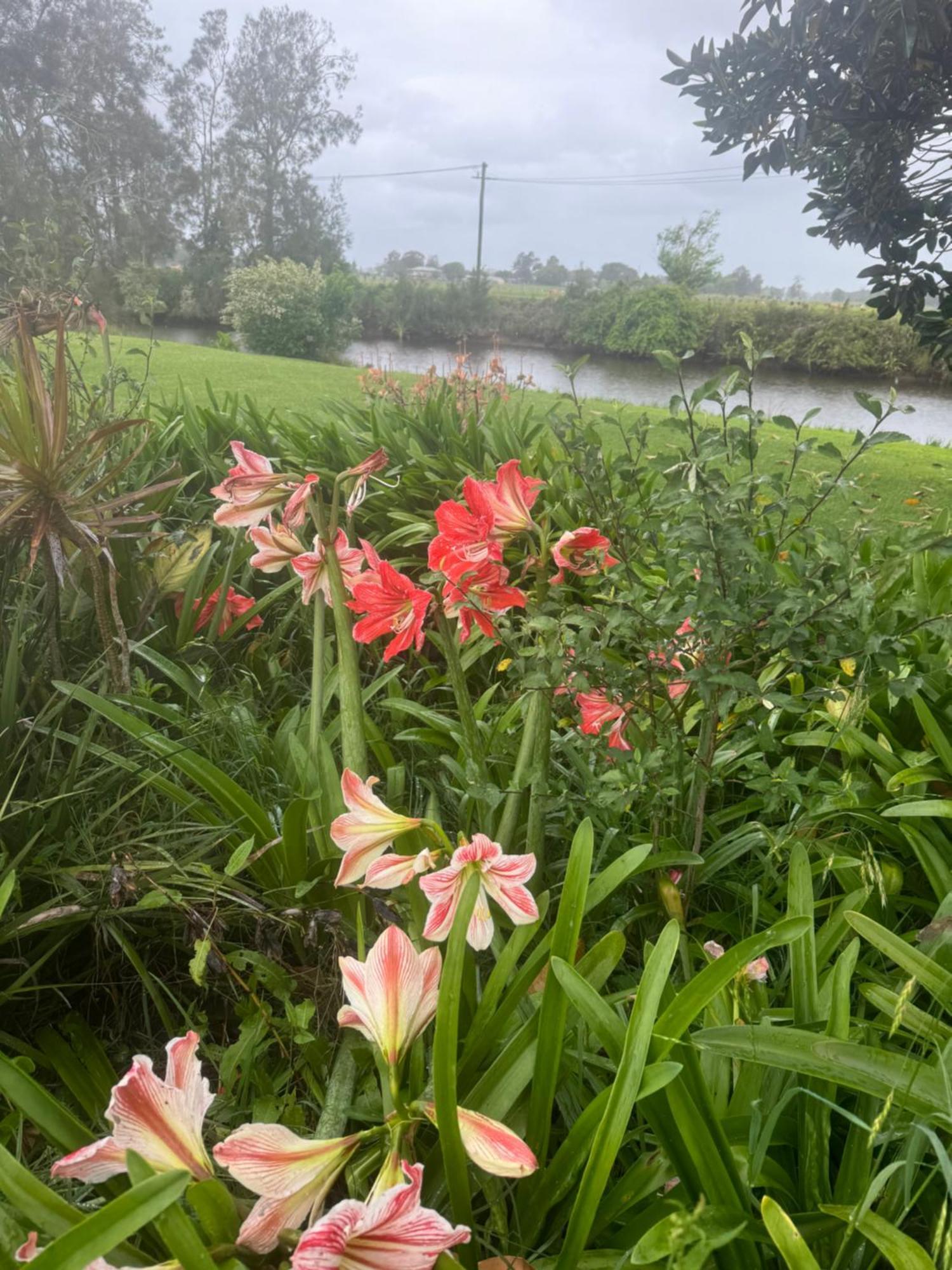 Bird Song Farm Hotel Hat Head Ngoại thất bức ảnh